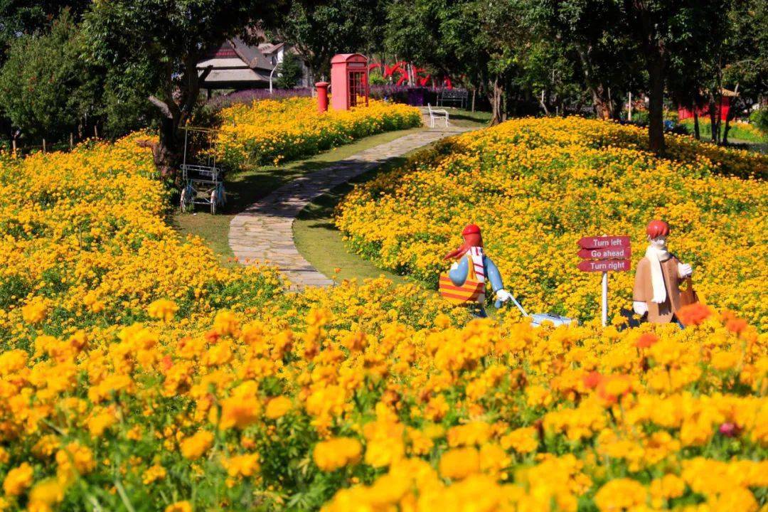 云游特色小镇勐海61勐巴拉雨林小镇够野够高级西双版纳不止有星光