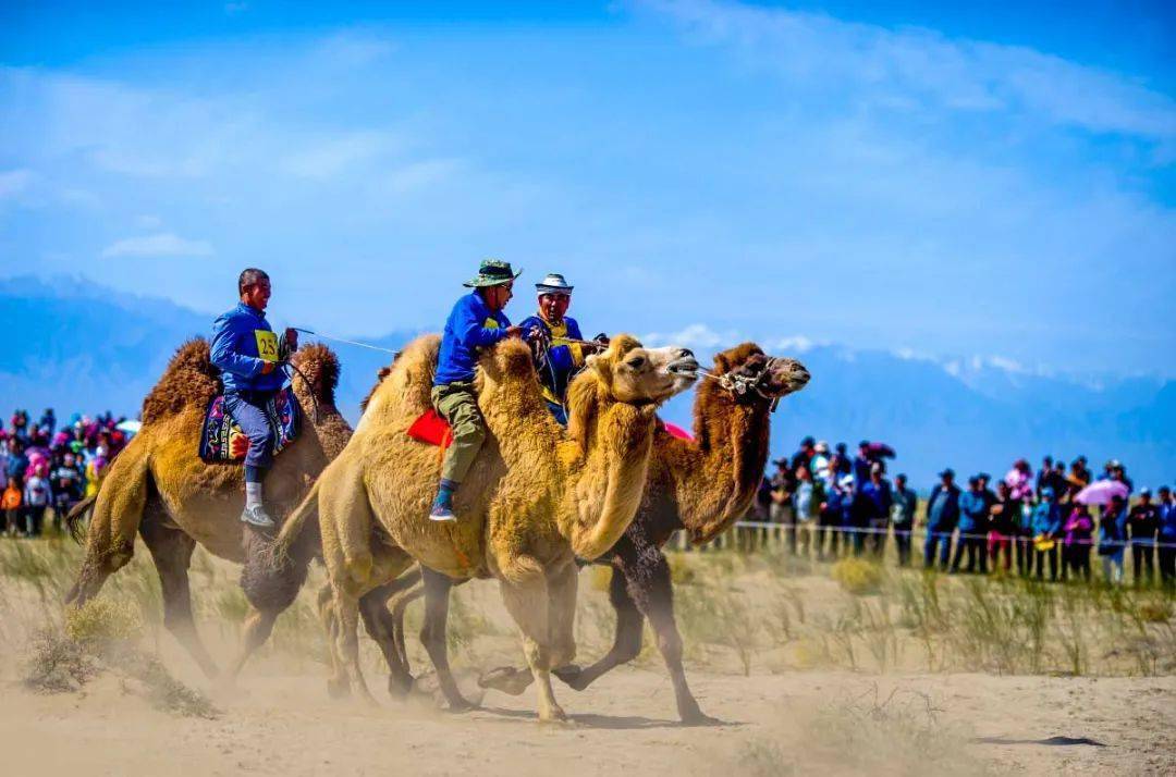 图源丨摄影部落西北偏北 处处可见的裕固族民族风情,与他们一起欢歌