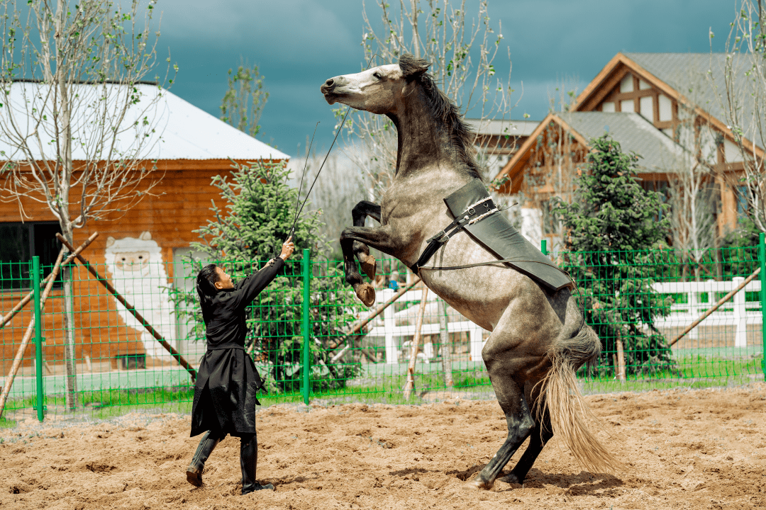 我猜,你想要的就是这样一个夏天