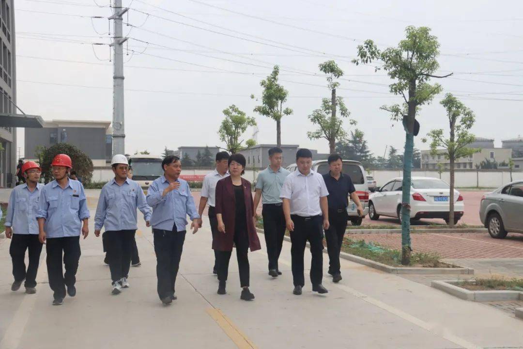 7月11日上午,代县长文晓凡带领相关部门负责人调研"