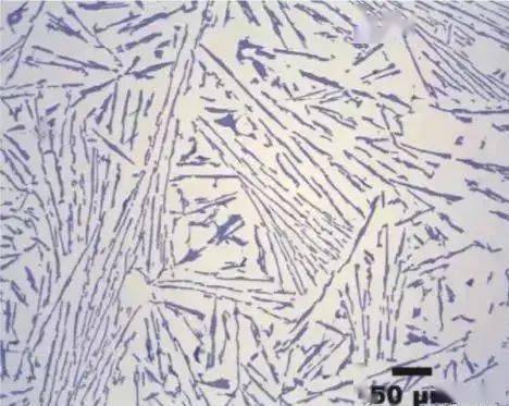 金相图谱之alsi合金