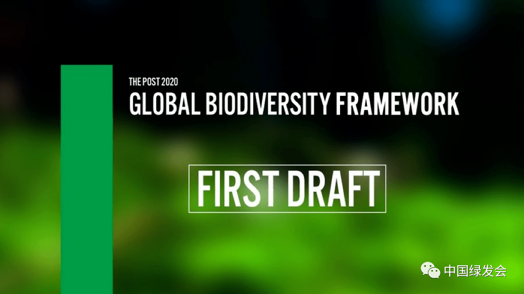 2020年后全球生物多样性框架壹案文中译版cbdcop15新闻速递