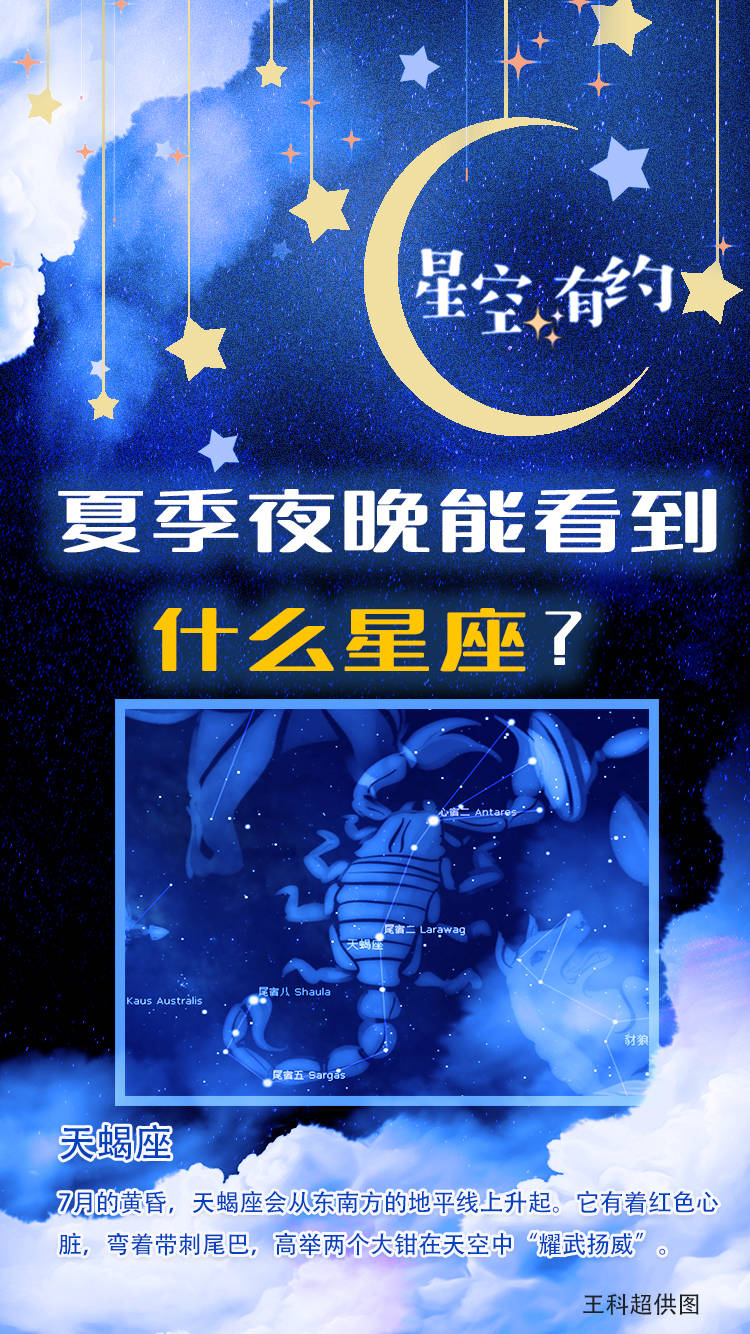 星座|星空有约|解锁夏季星座密码