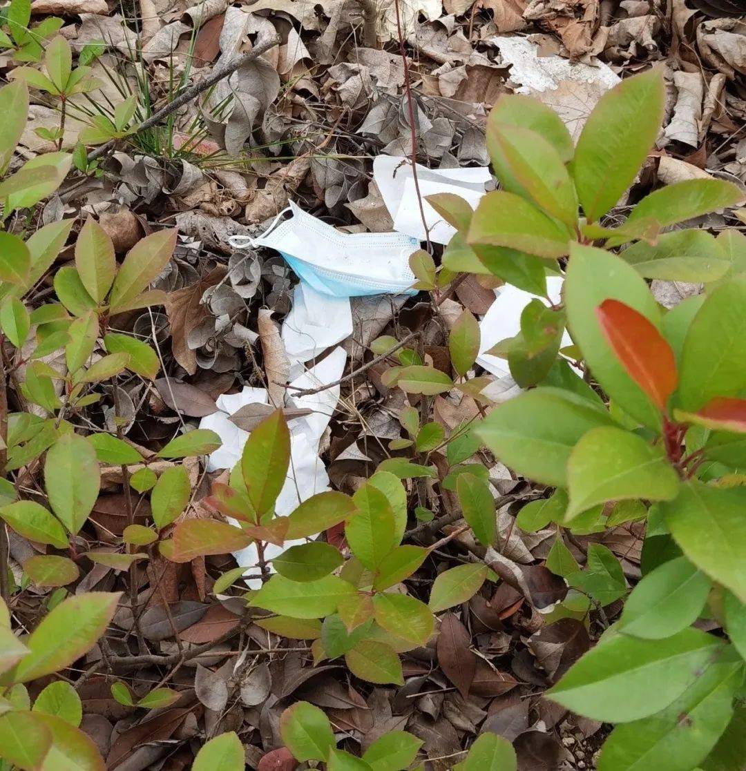 【丢弃的口罩】提供者: 曲有误 周郎顾