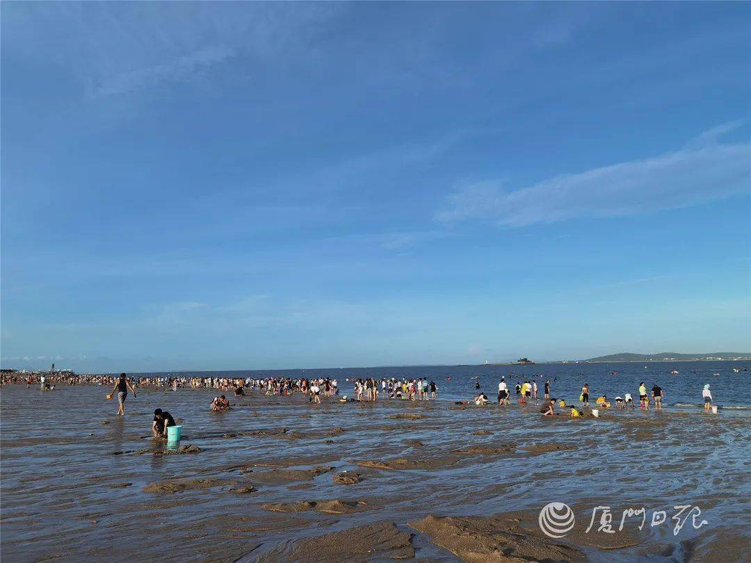 厦门后田海滩赶海图片