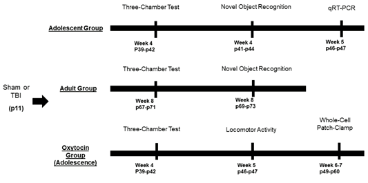 认知障碍50道测试 9c1d77fc23824b23b69e7943fd2cf949.png
