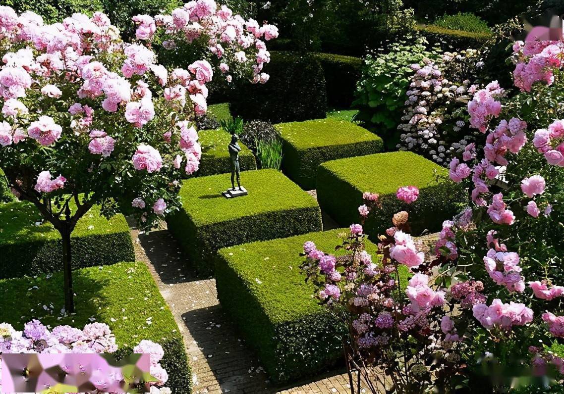 因地制宜,确定合理的种植密度