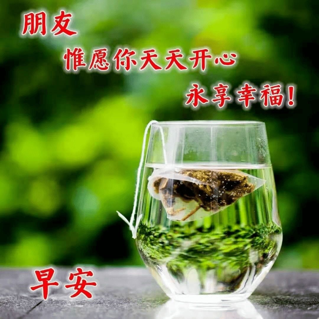 早上好问候语表情人生有缘风雨不散见与不见都会想念