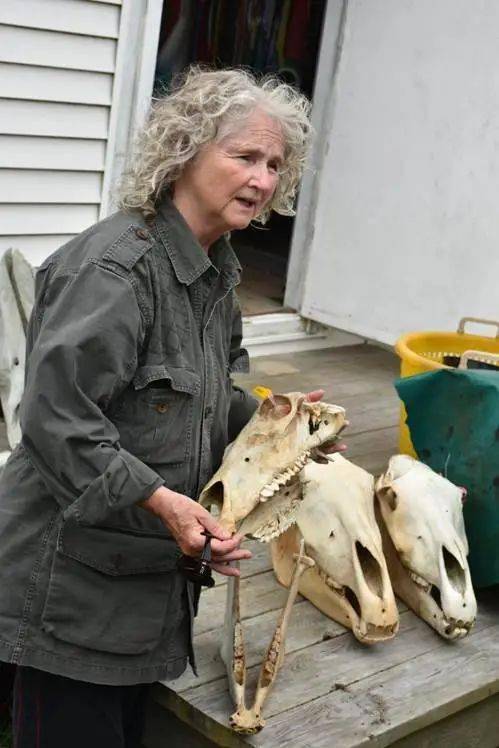 獨守死亡之島50年,與野生動物為伴,71歲老人今夏感動戛納