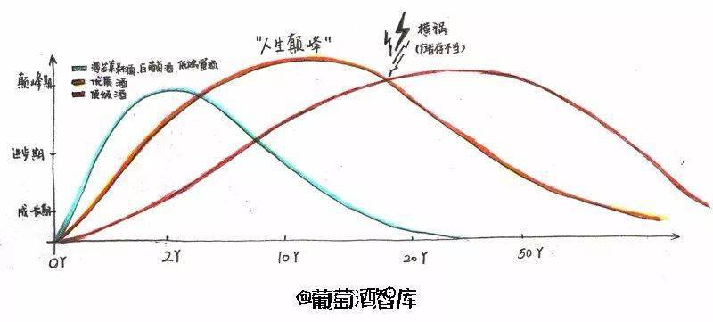 木桶|葡萄酒最常见的12个问题，统统用手绘回答你！