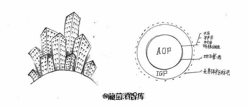 木桶|葡萄酒最常见的12个问题，统统用手绘回答你！