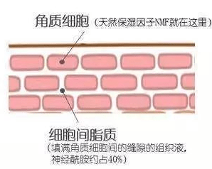 温度|三伏天护肤强攻略！水乳面霜放心用！