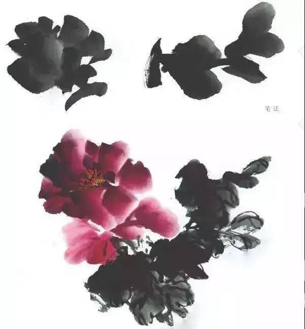 牡丹这样画简单易学