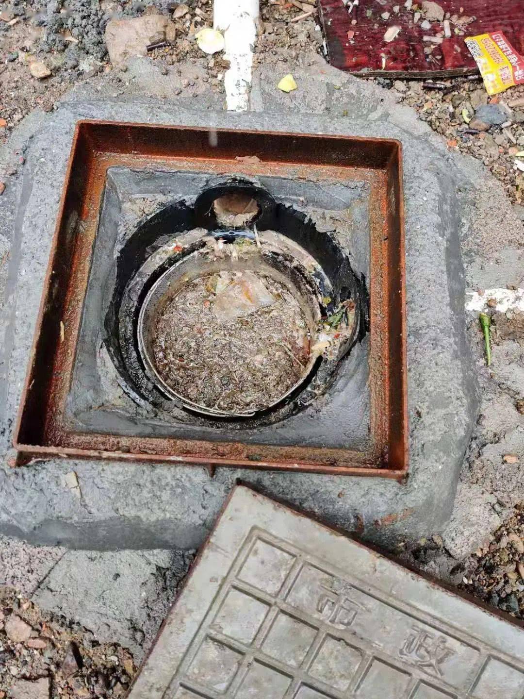 1,6月初浙江省生态环境厅对该企业抽查时,发现雨排口窨井中积水发黑