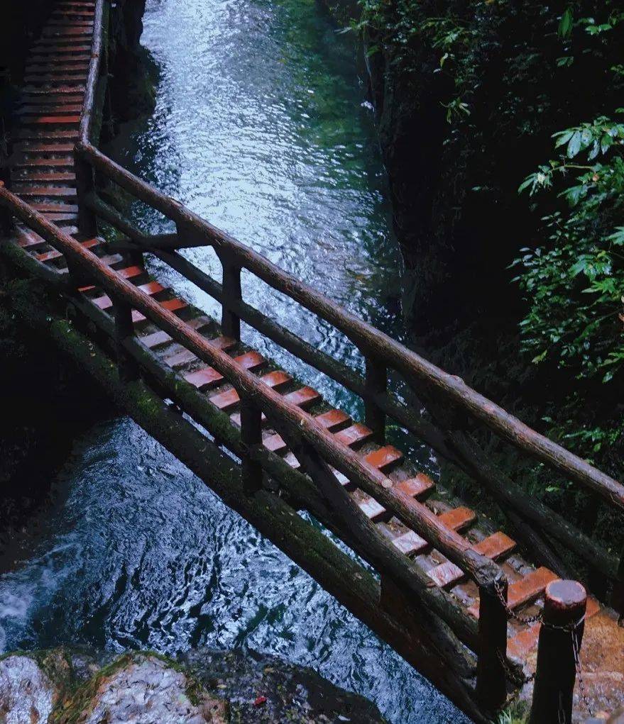 青城山龙隐峡栈道图片