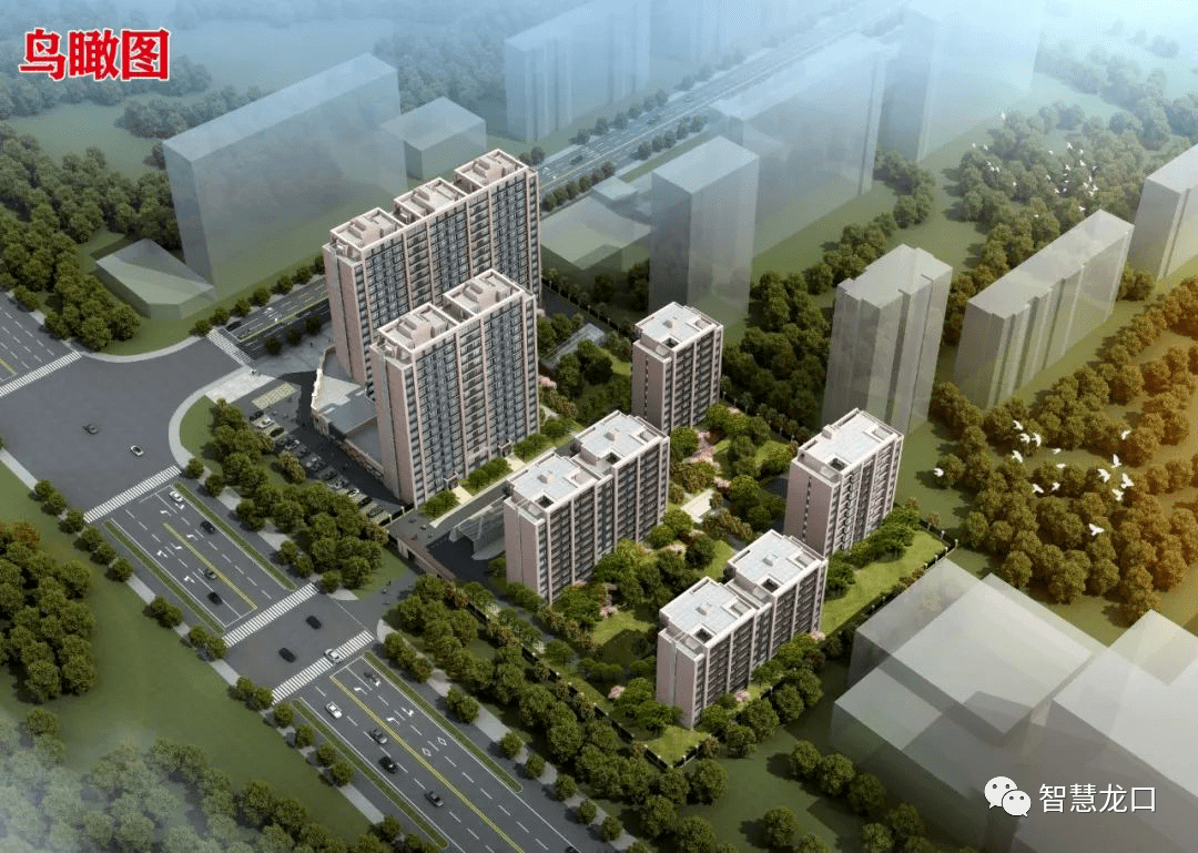 龙口又又又将新增2个小区!总建筑面积127000多平米!位置在