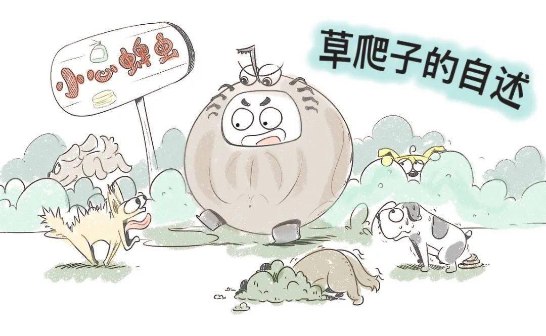 什么是蜱虫大家好,很多人都叫我草爬子,还有叫我狗豆子的,其实都是我