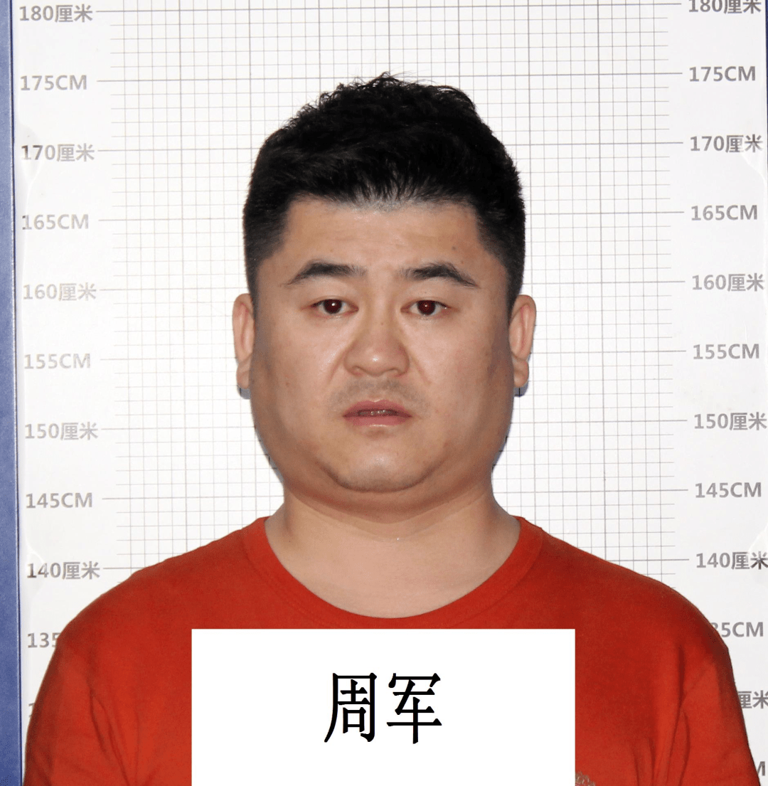 公开征集"猫蛋","大子","二子"等人违法犯罪线索._康峰