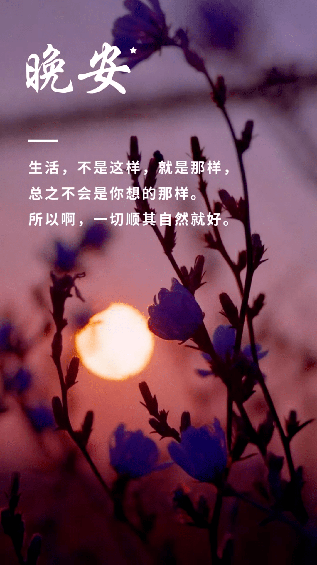 每日一句晚安心语_自律