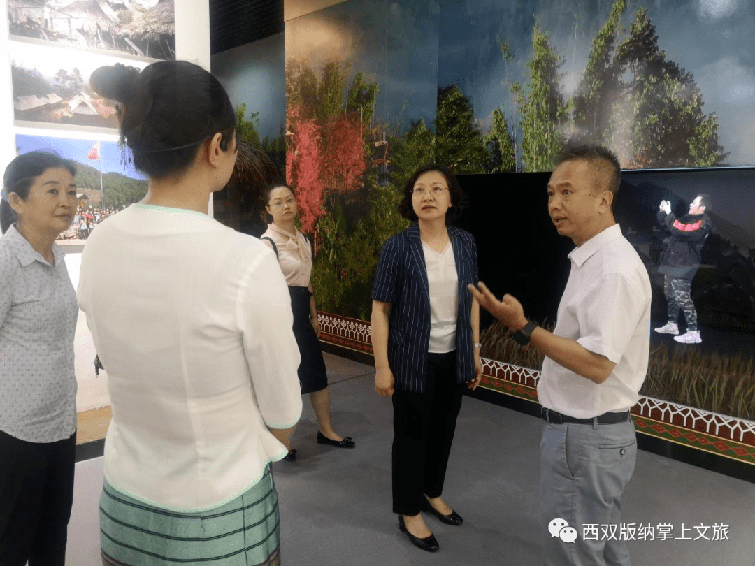 王嘉玲副书记调研州民族博物馆
