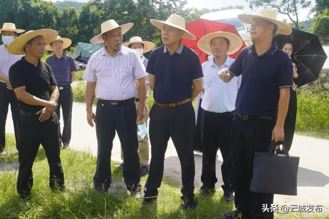 近日,省人大农村农业委副主任委员林进雄率队到云城区开展乡村振兴