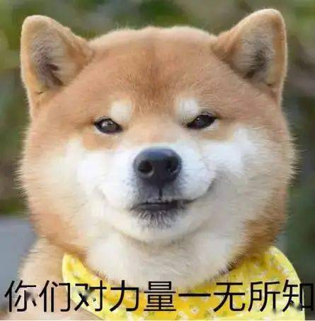 07b525b5c0e74879aad46c089daefddd.jpeg