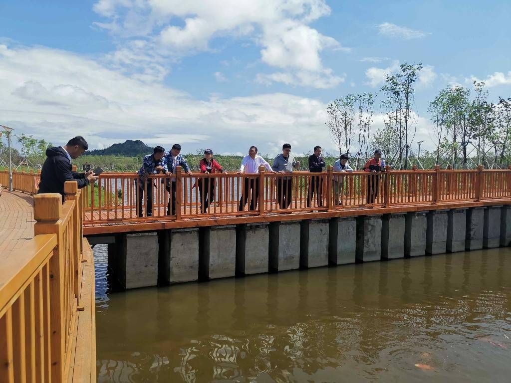 莲花广场|伊通：11个泡塘连成“串湖”成景观