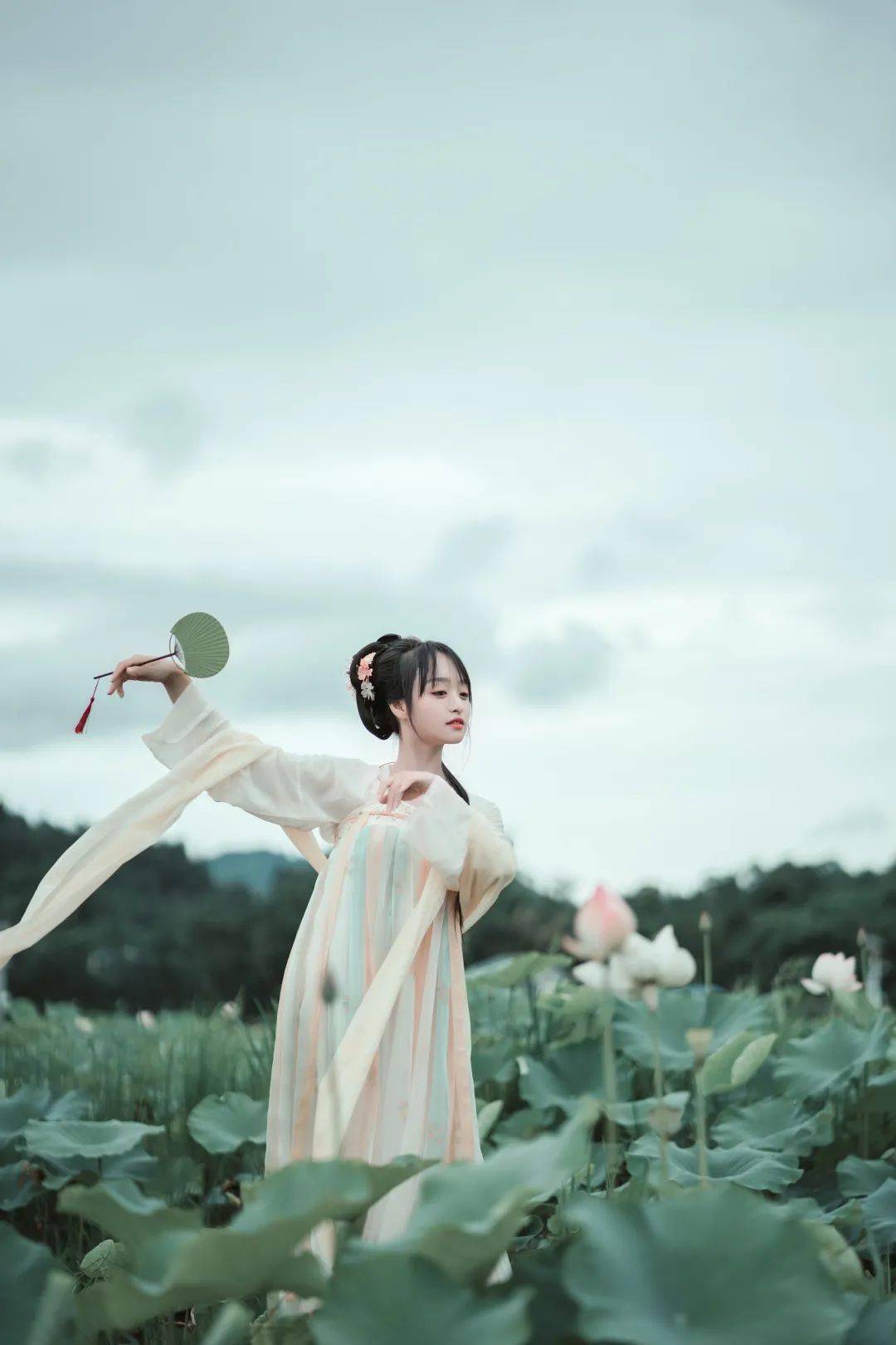 在蓮花叢中,勝似江南女子的溫柔.