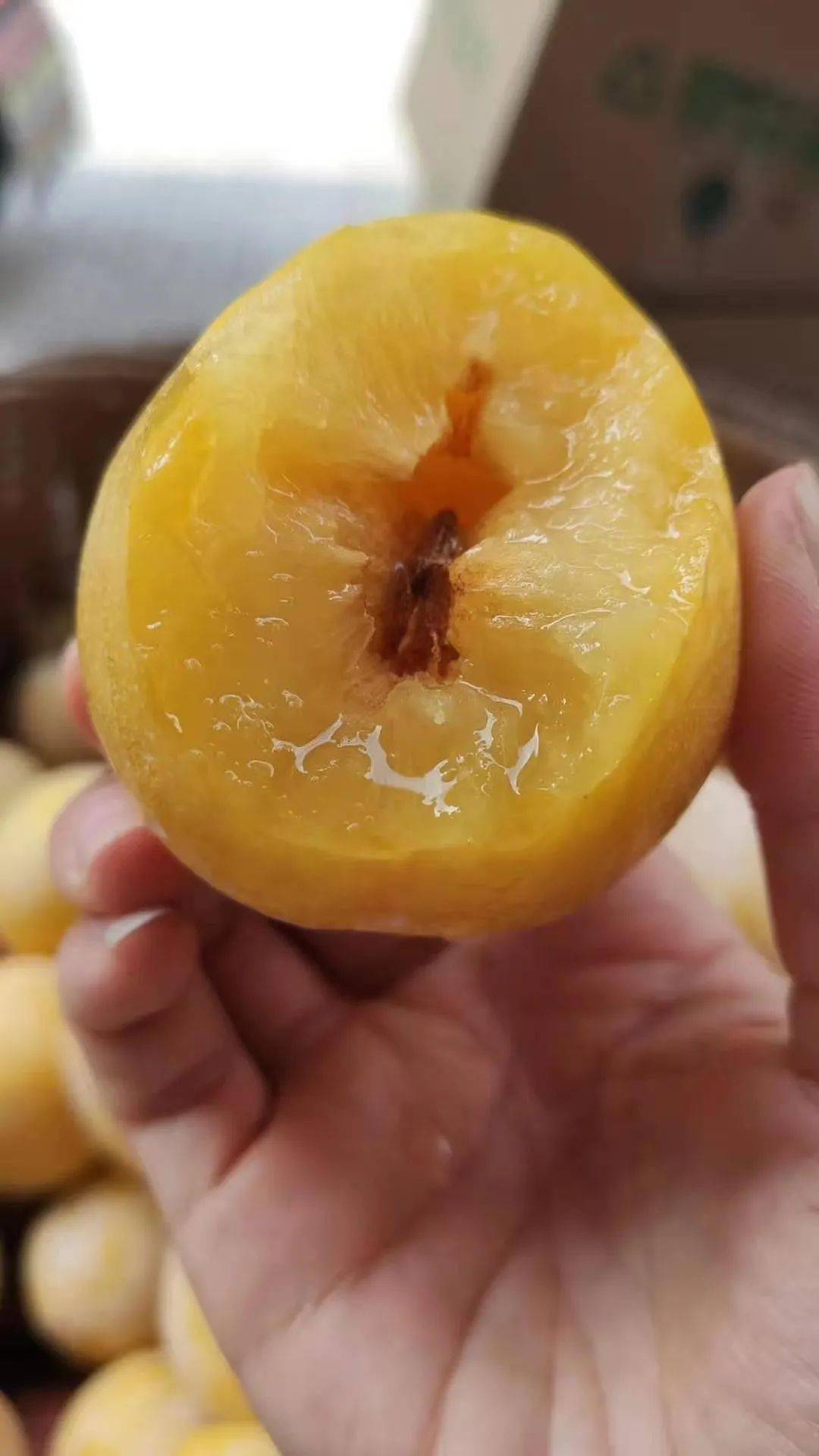 省内包邮98元抢九峰山黄金奈李10斤每天清晨现摘现发