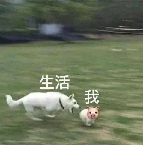 b22c131047c04d78841aa27797a4f222.jpeg