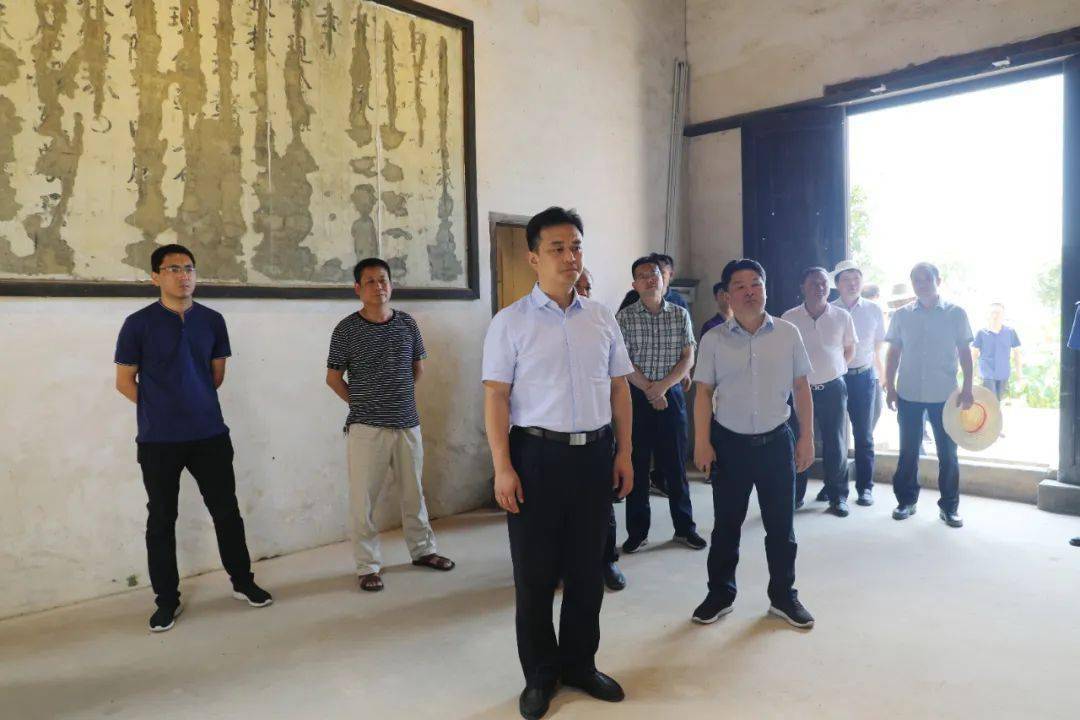 红网时刻白云峰来茶开展调研