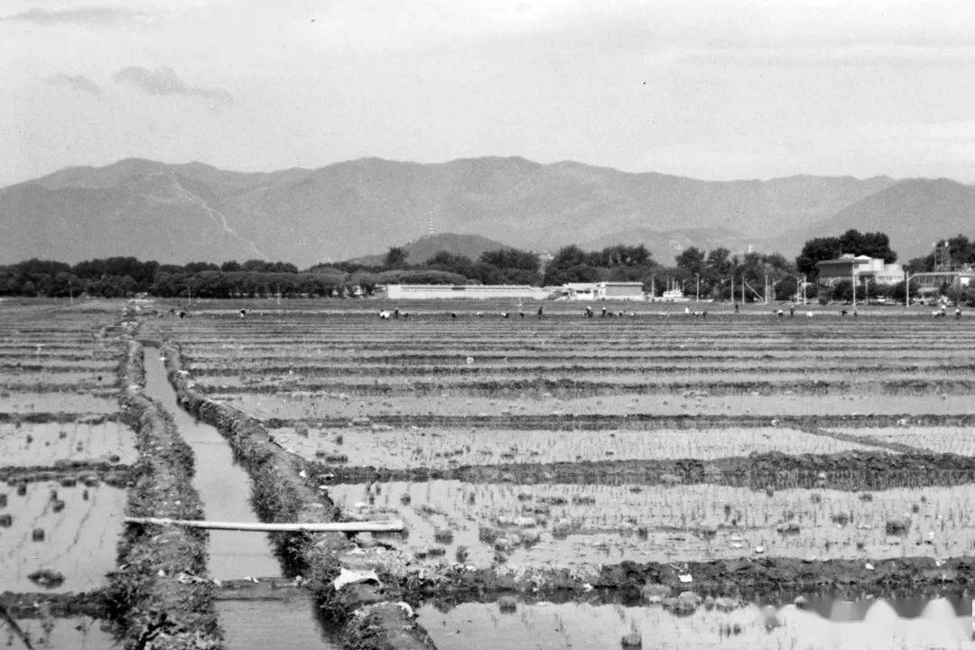 海淀镇新增文化地标,记录发展留住乡愁!_六郎庄