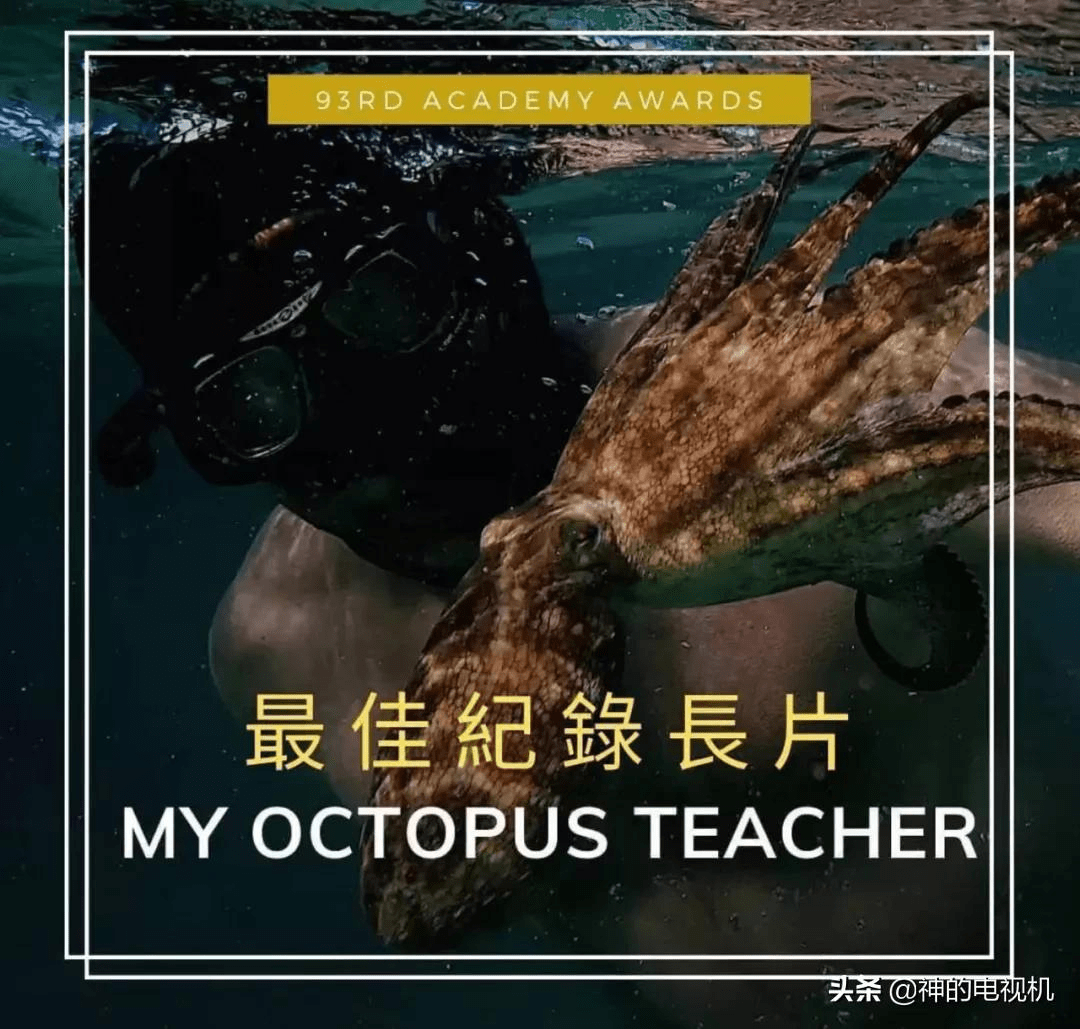 评分9.3，人兽奇缘，爱，生存，交配，死亡_手机搜狐网