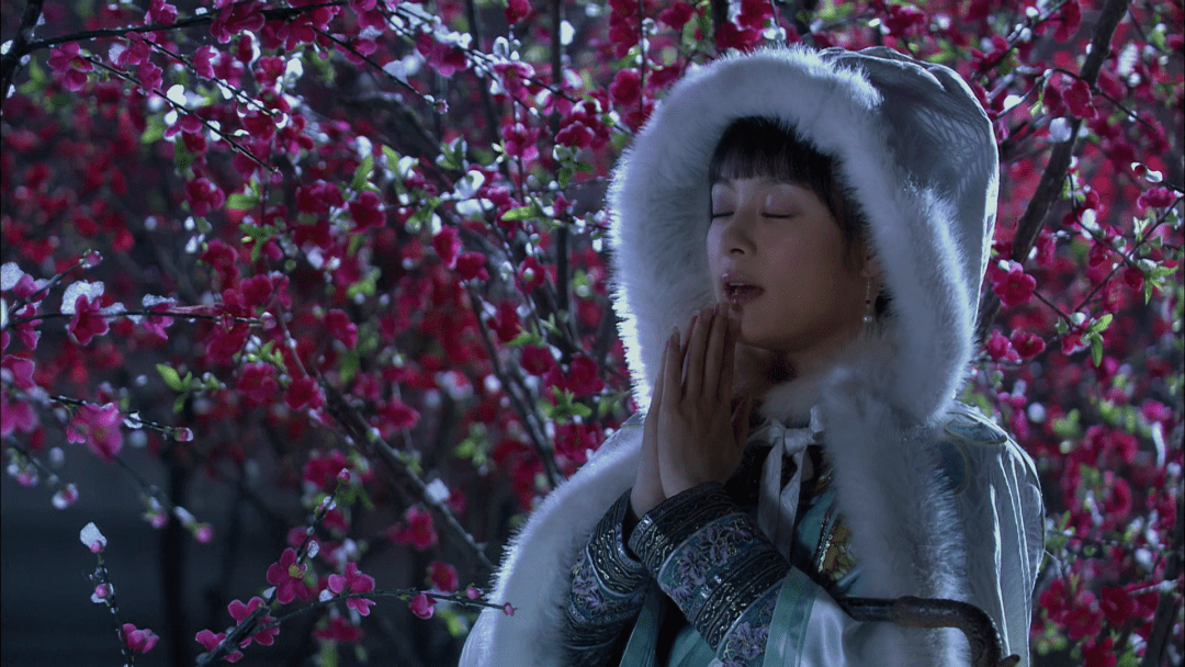 学术版甄嬛传太逗了:祺贵人告发甄嬛学术不端,余答应剽窃甄嬛论文