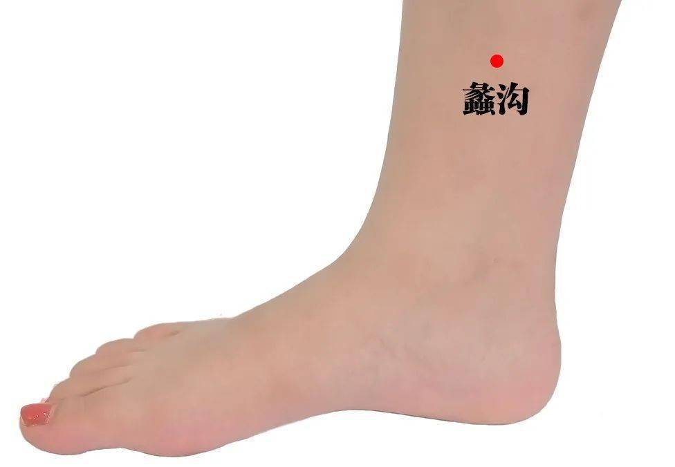 蠡沟穴是足厥阴肝经的穴位,在小腿内侧,当足内踝尖上5寸,胫骨内侧面的