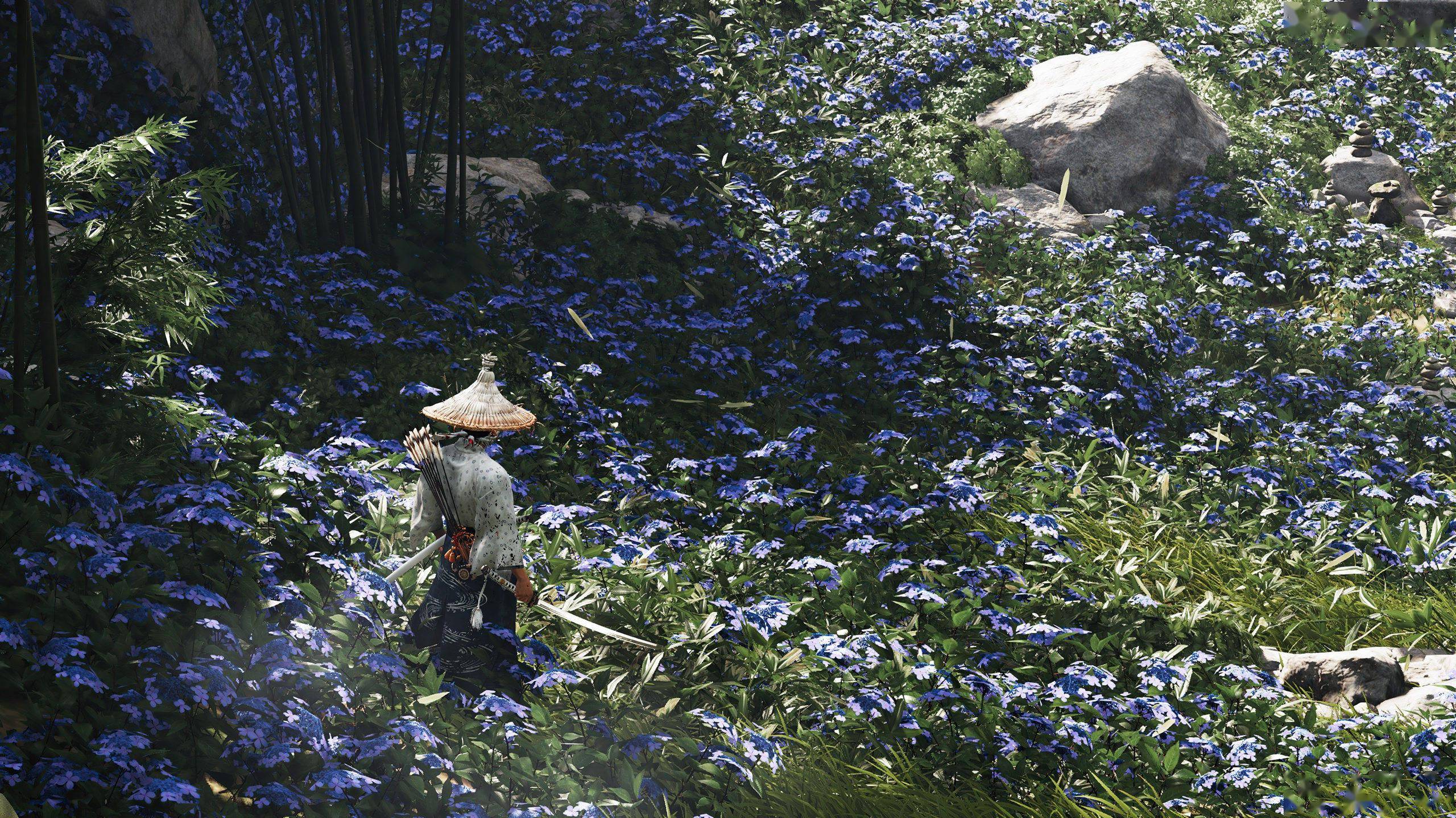 《对马岛之鬼》发售一周年 dice剪辑大师晒美图庆祝