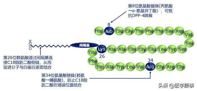 司美格魯肽結構司美格魯肽注射液的降糖和減重 作用在 sustain系 列