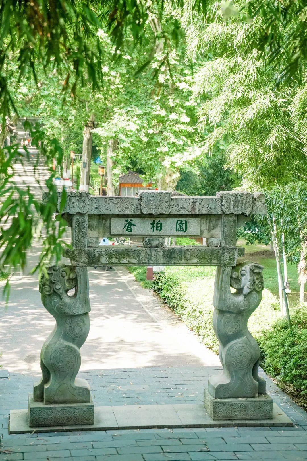 巡城记 | 苍柏园里,倾听救国利民的百年理想_抗战