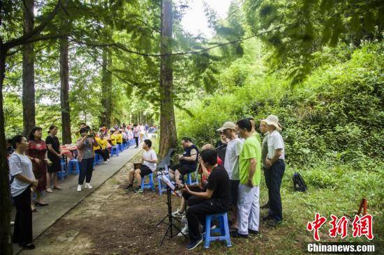 风景|福建将乐：森林康养引游人