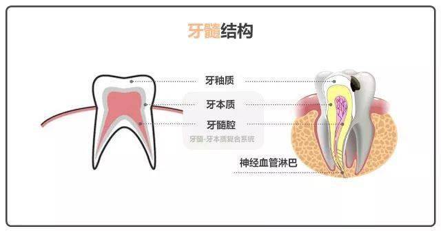 牙龈发炎流脓怎么办