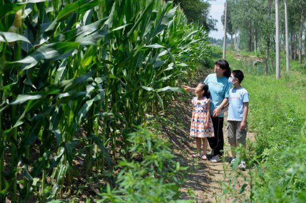 细胞|燕郊女骑手：为了患白血病的孩子，妈妈快跑