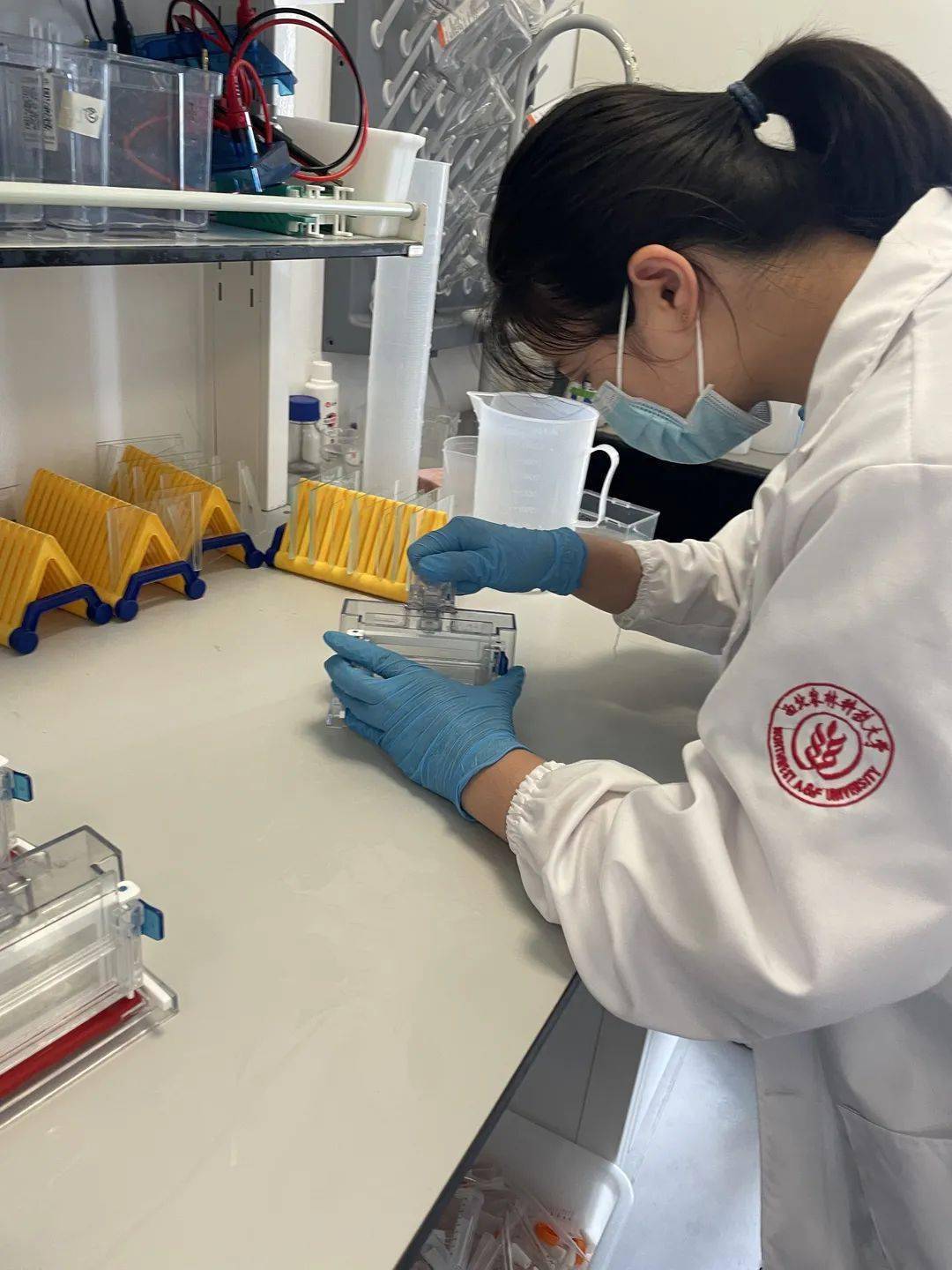 启航计划no3上海科技大学生命科学与技术学院梦想再度扬帆