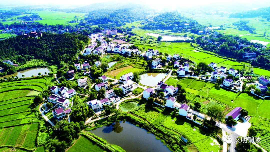 枞阳县白柳镇山河村义安区天门镇金塔村.