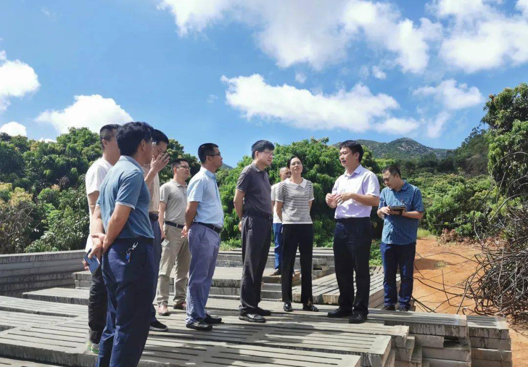 省自然资源厅总工程师林辉赴漳州,龙岩开展整治新增农村乱占耕地建房