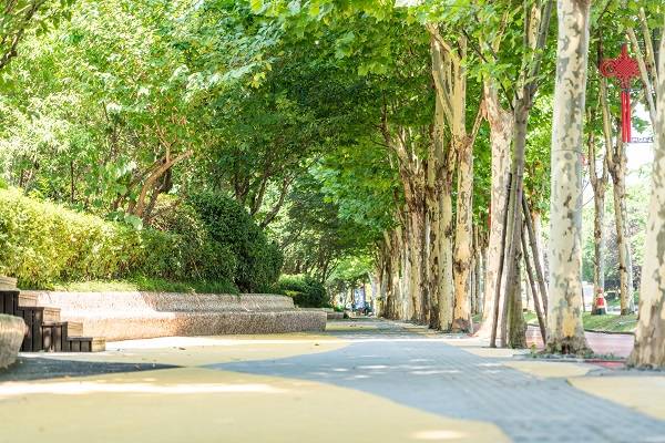 奥莱|这里处处皆风景:来南京未来科技城，感受活力一“夏”吧！