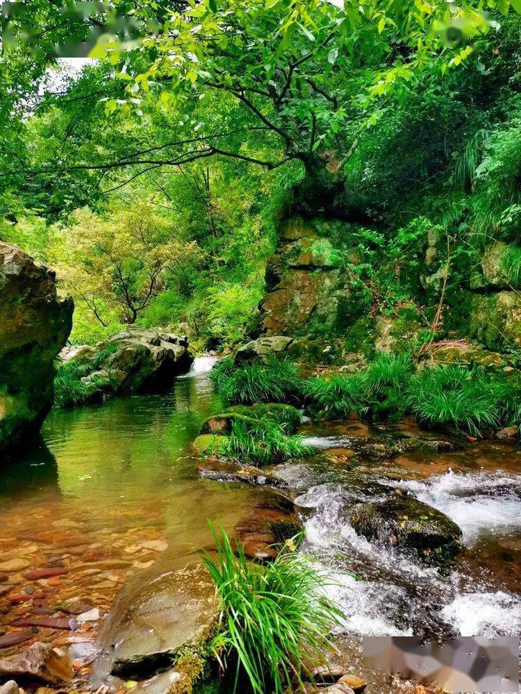 沅陵乡村小溪之恋大坪溪