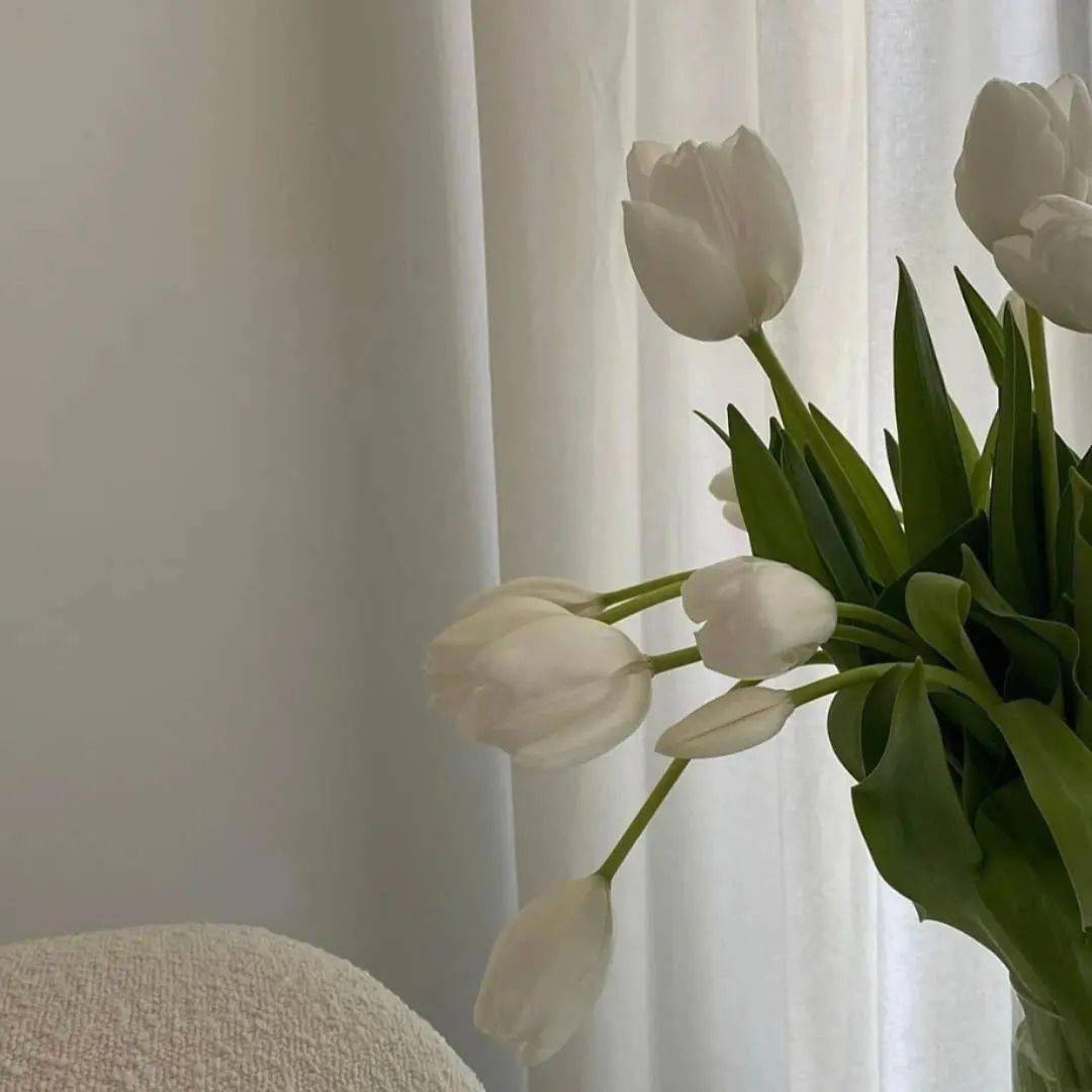 朋友圈背景图已送达20