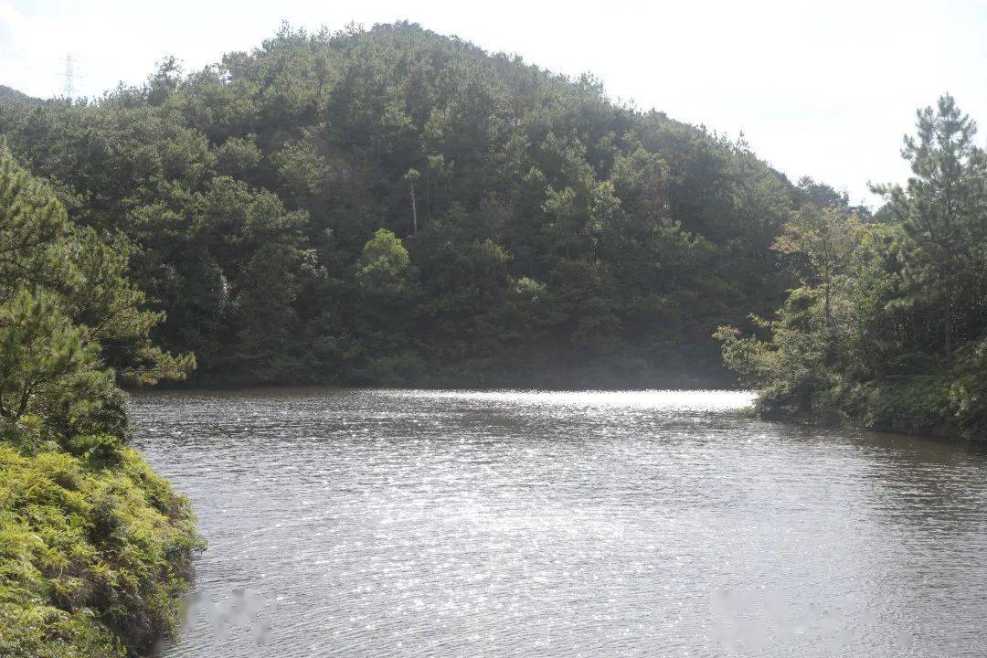 台山塘田水库图片