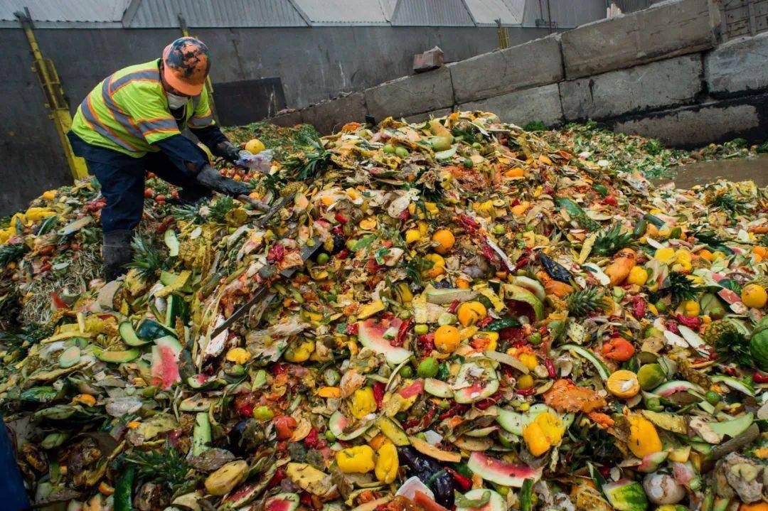 【存照】美国厨余垃圾有75%进入了填埋场