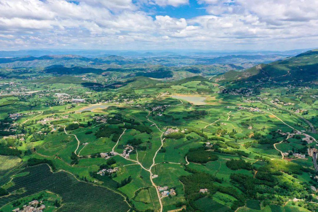 牛棚万亩"烟海"全县烤烟生产呈现出"谋划早,育苗优,品种纯进度快,长势